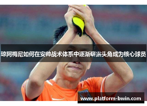 琼阿梅尼如何在安帅战术体系中逐渐崭露头角成为核心球员