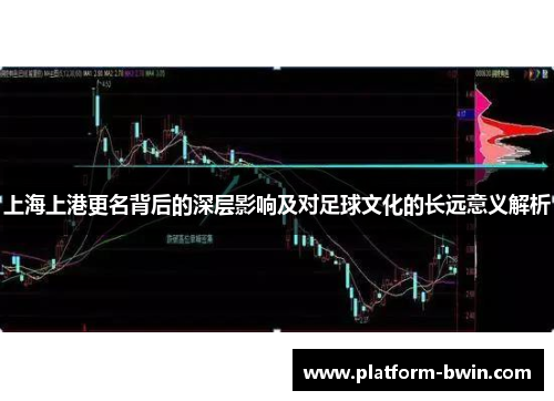 上海上港更名背后的深层影响及对足球文化的长远意义解析