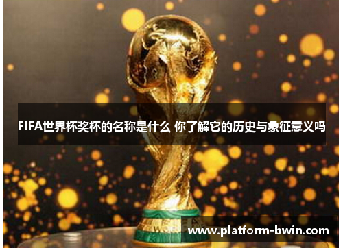 FIFA世界杯奖杯的名称是什么 你了解它的历史与象征意义吗