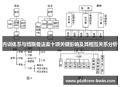 青训体系与博斯曼法案十项关键影响及其相互关系分析